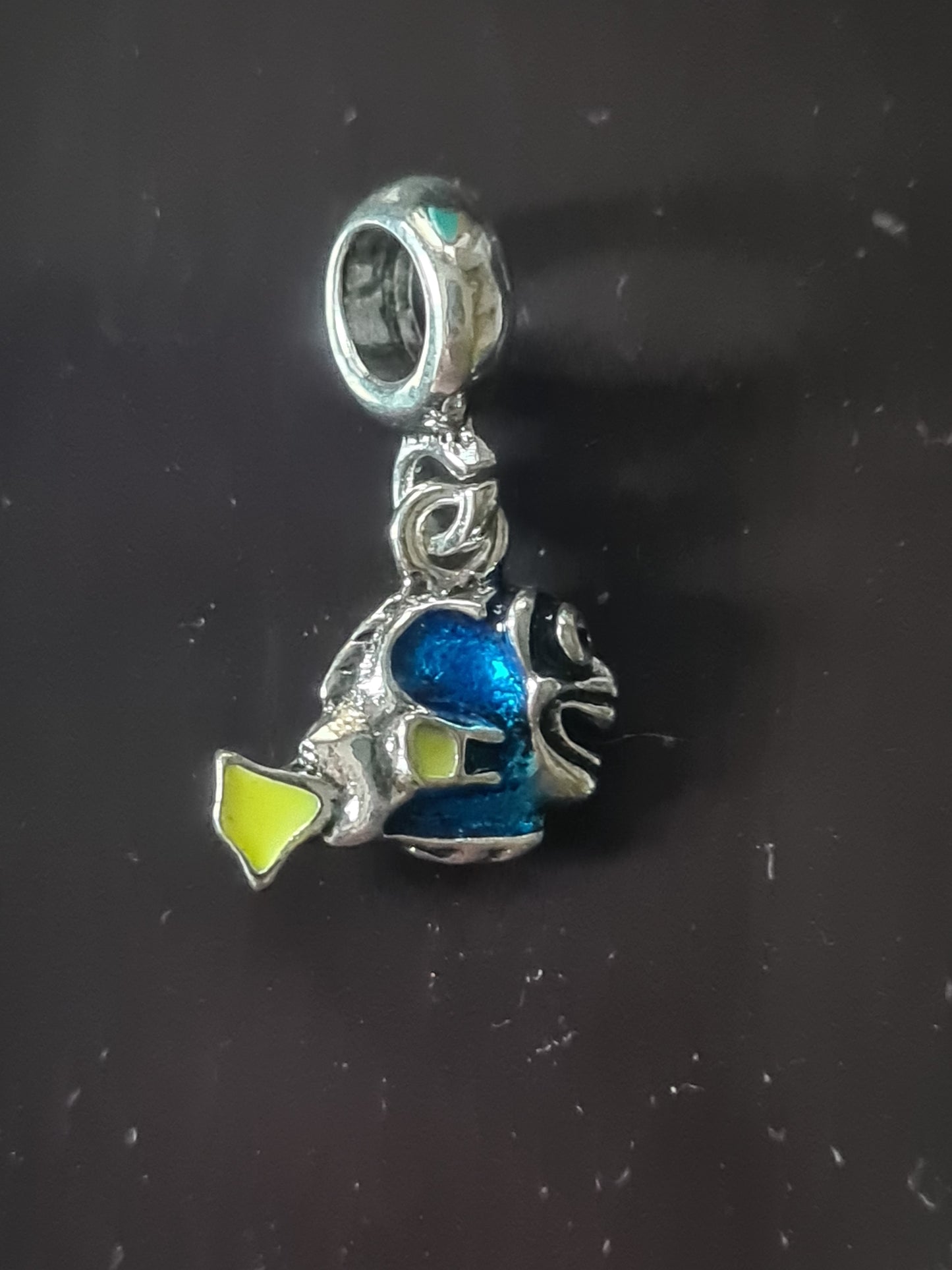 Dory charm