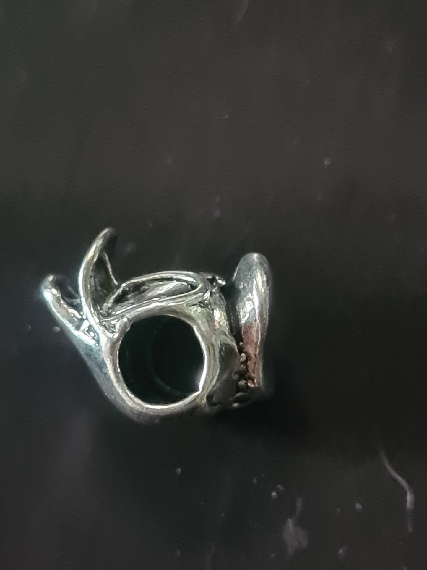 Donald duck charm