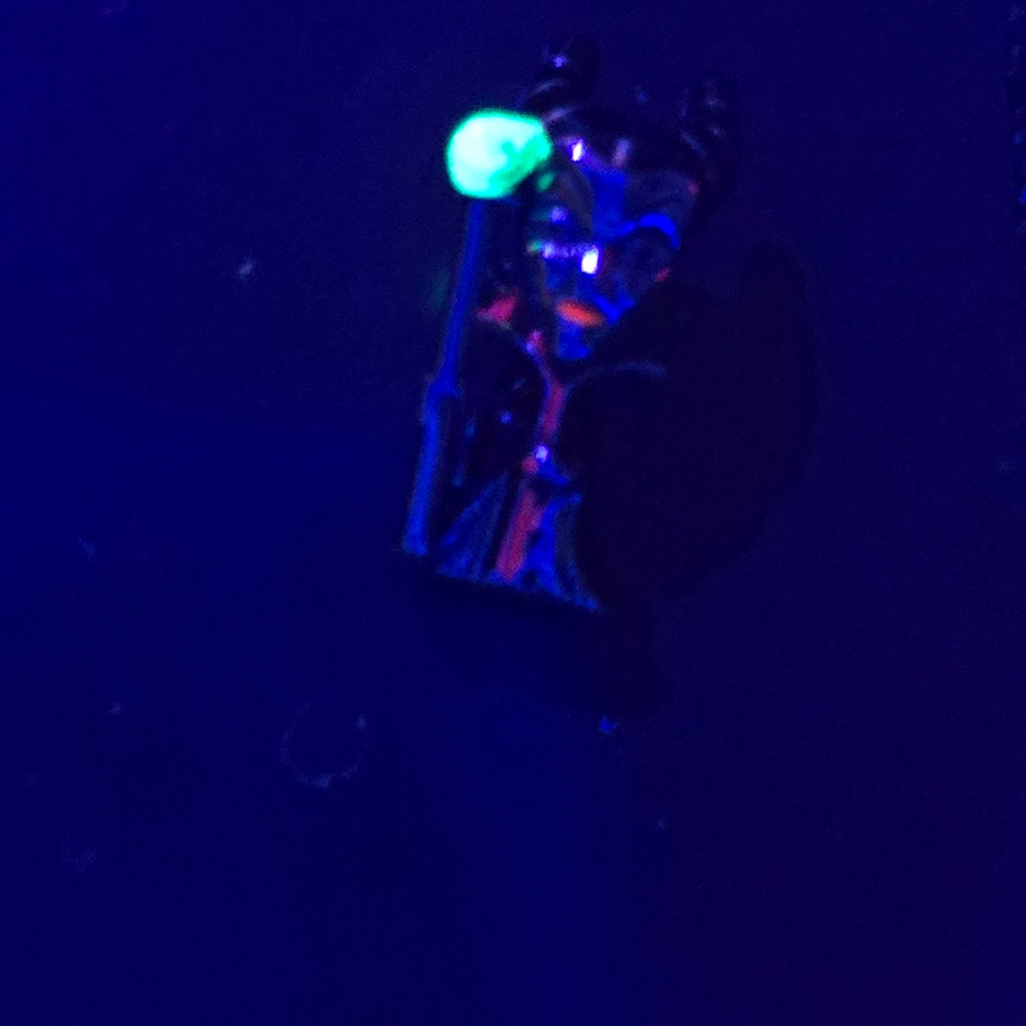 Maleficent glow in the dark disney Villain Pandora charm
