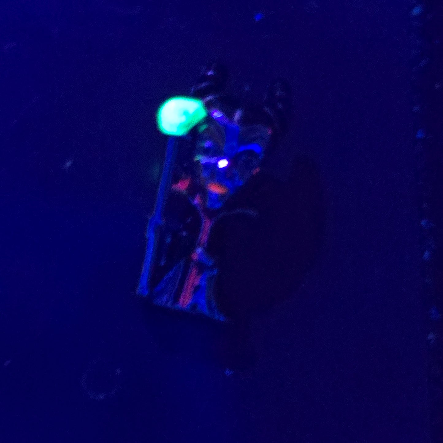 Maleficent glow in the dark disney Villain Pandora charm