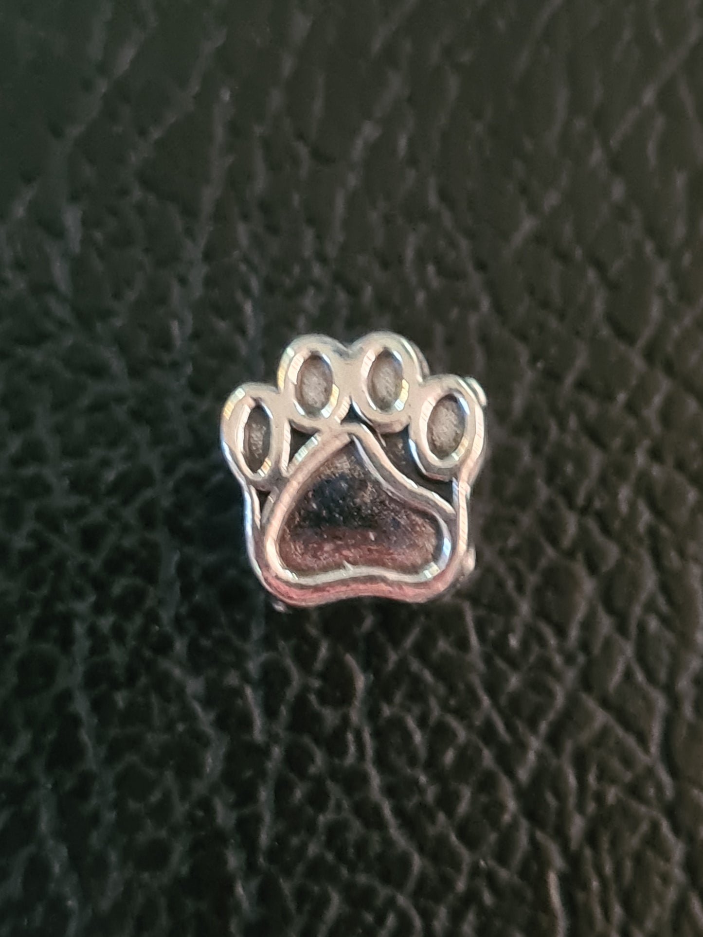 Dog paw silver charm