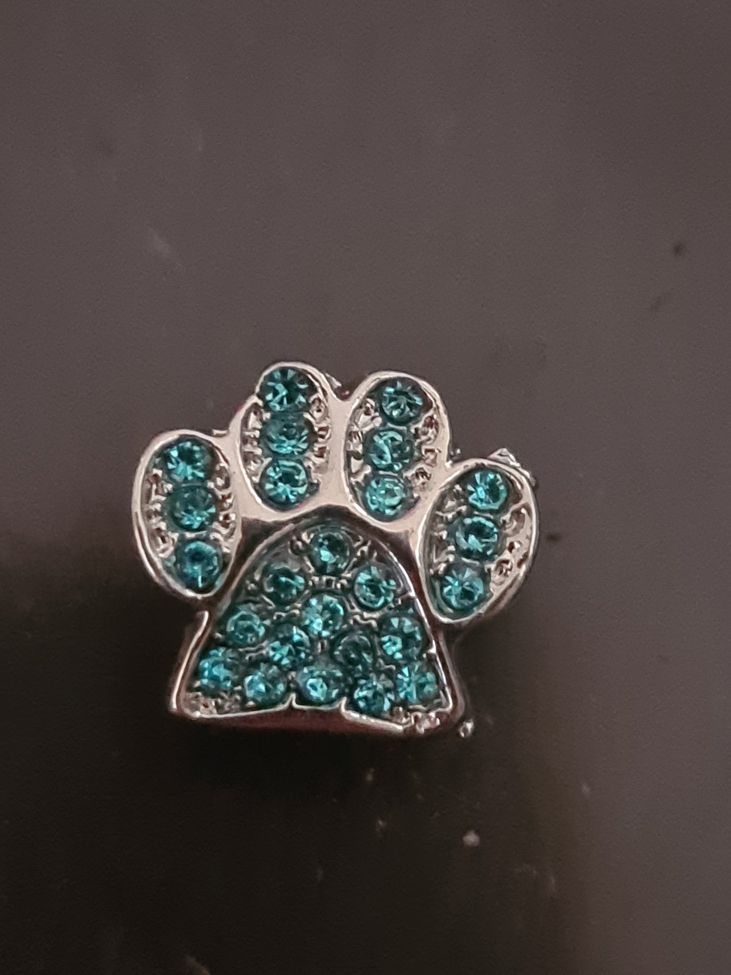 Blue gem paw charm