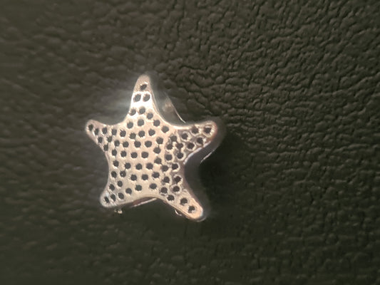 Star fish 3