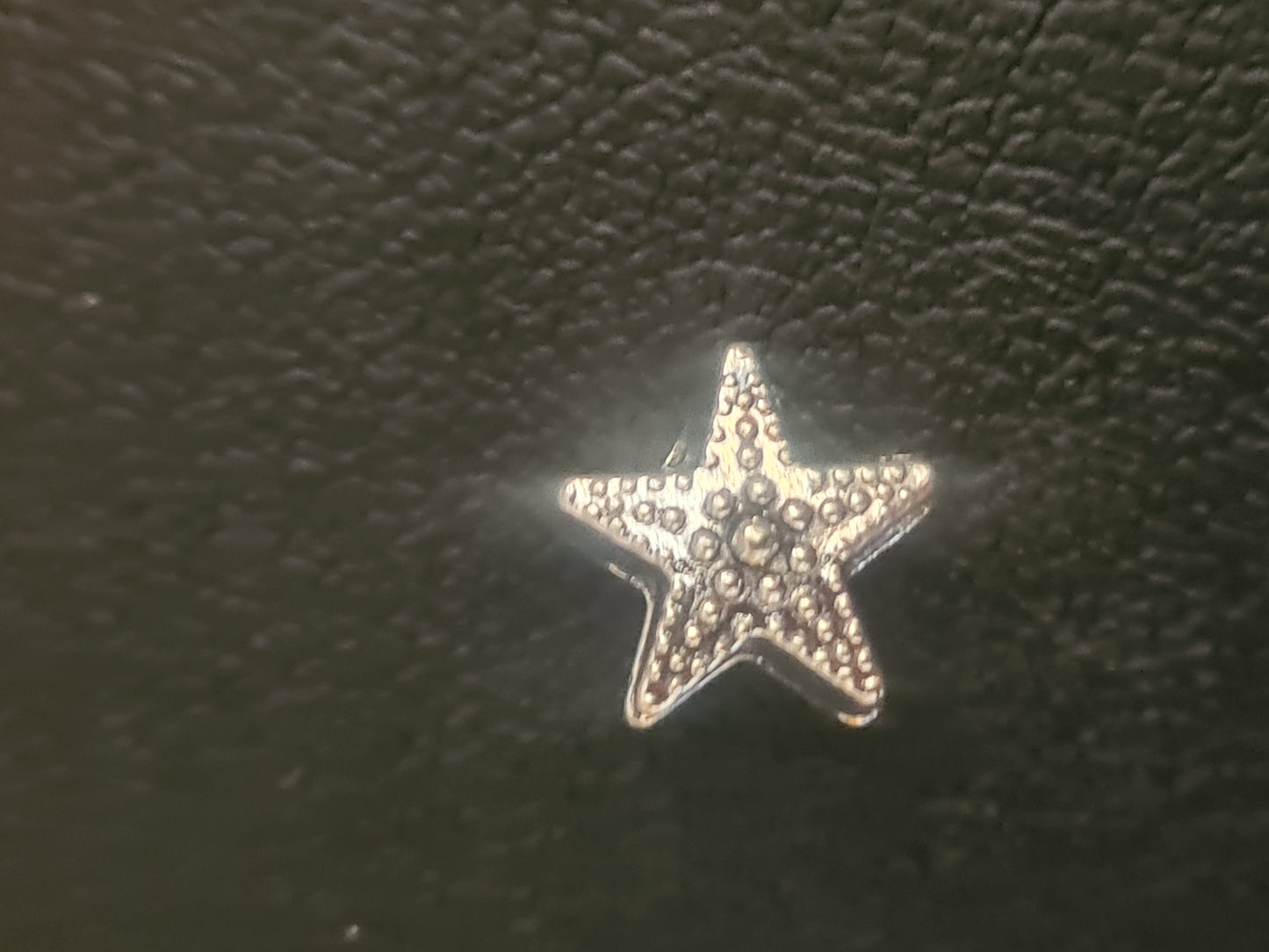 Starfish 1 charm