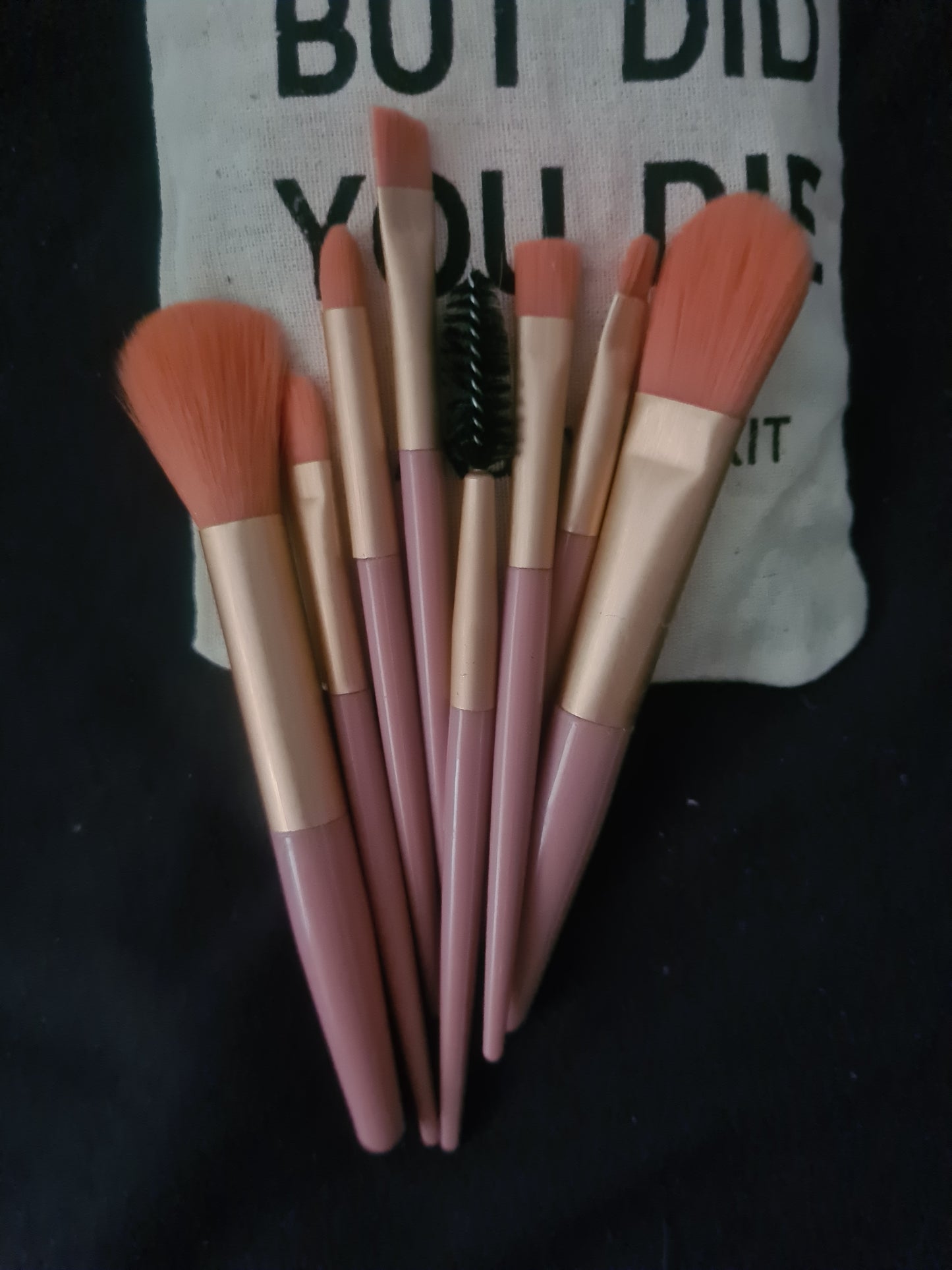 But die you die hangover make up brush travel set