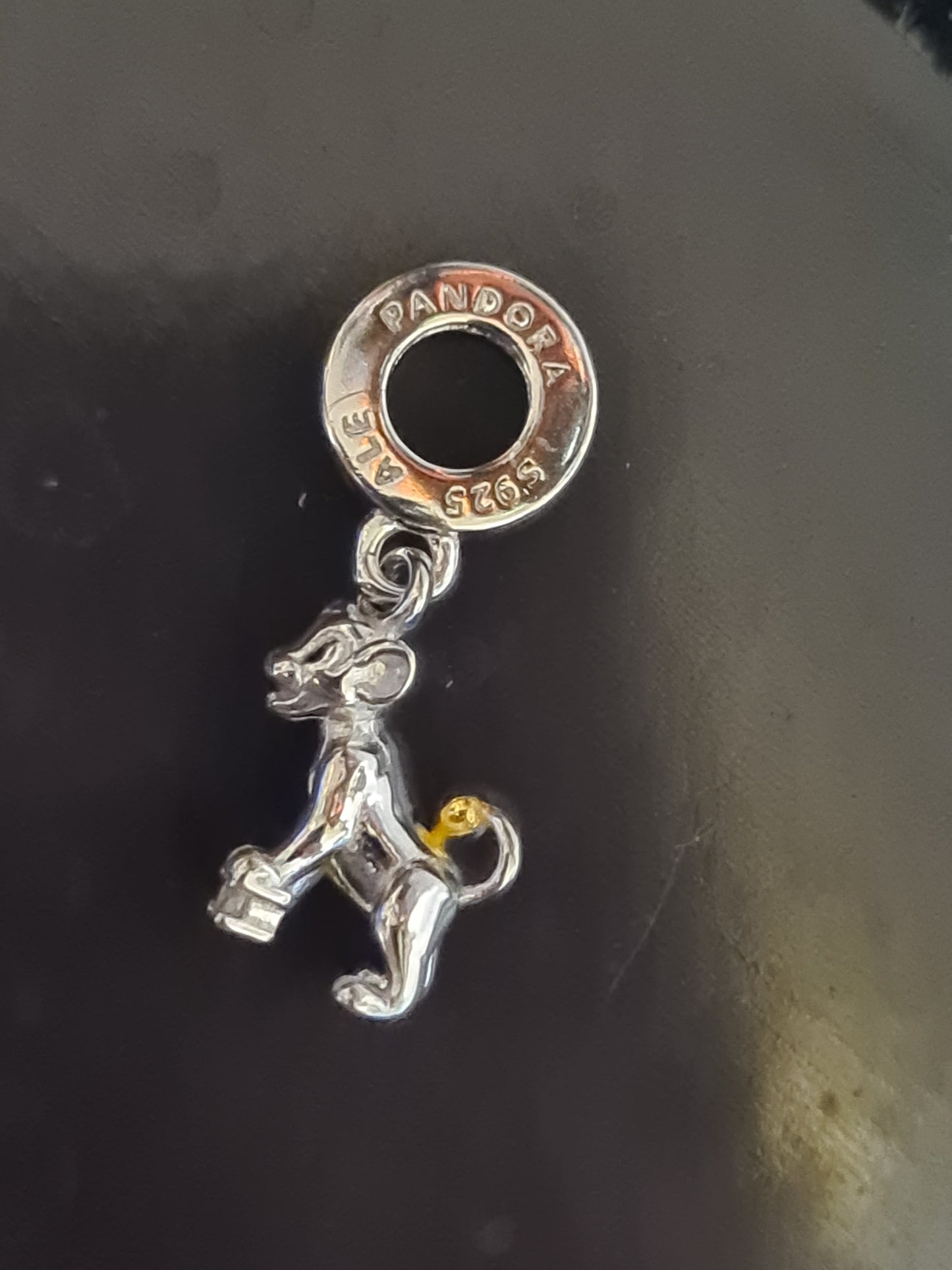 Simba 100th anniversary charm