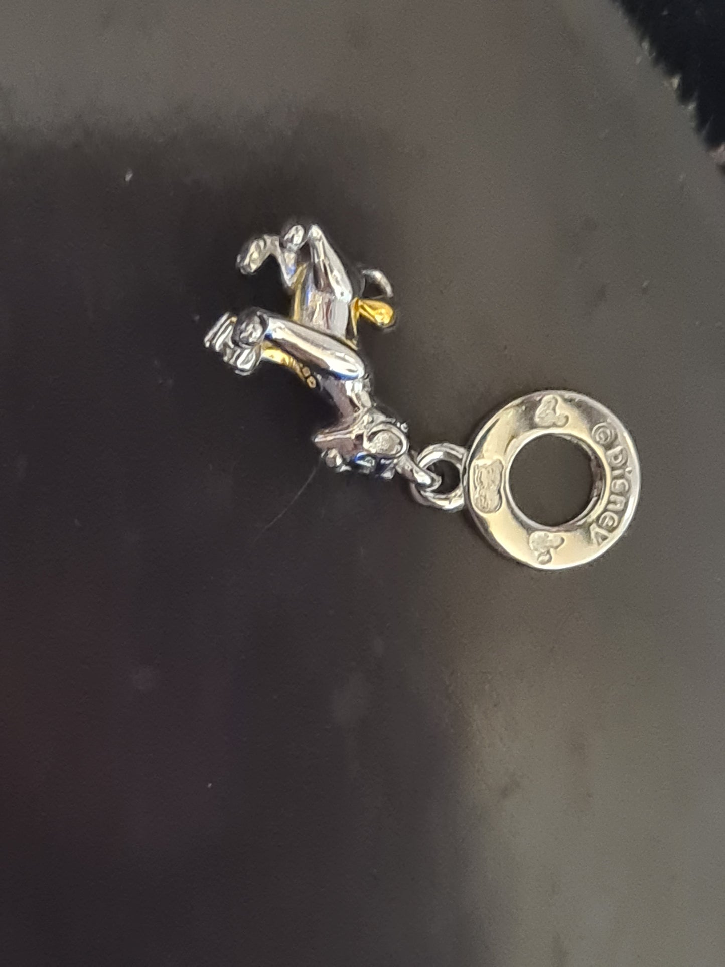 Simba 100th anniversary charm