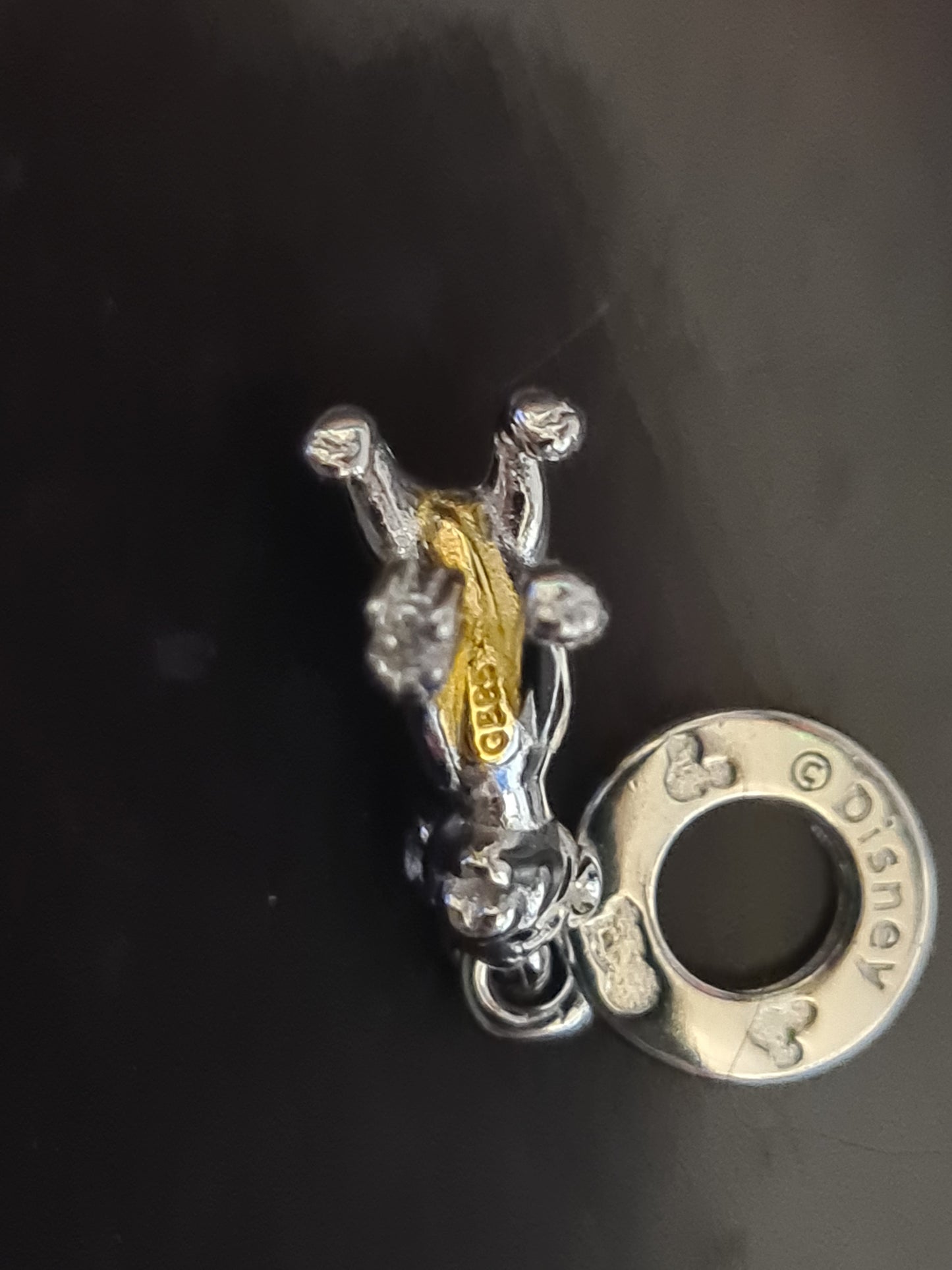 Simba 100th anniversary charm