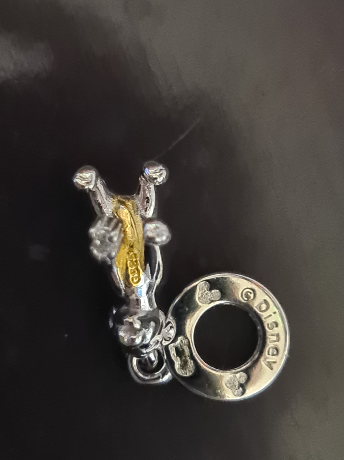 Simba 100th anniversary charm