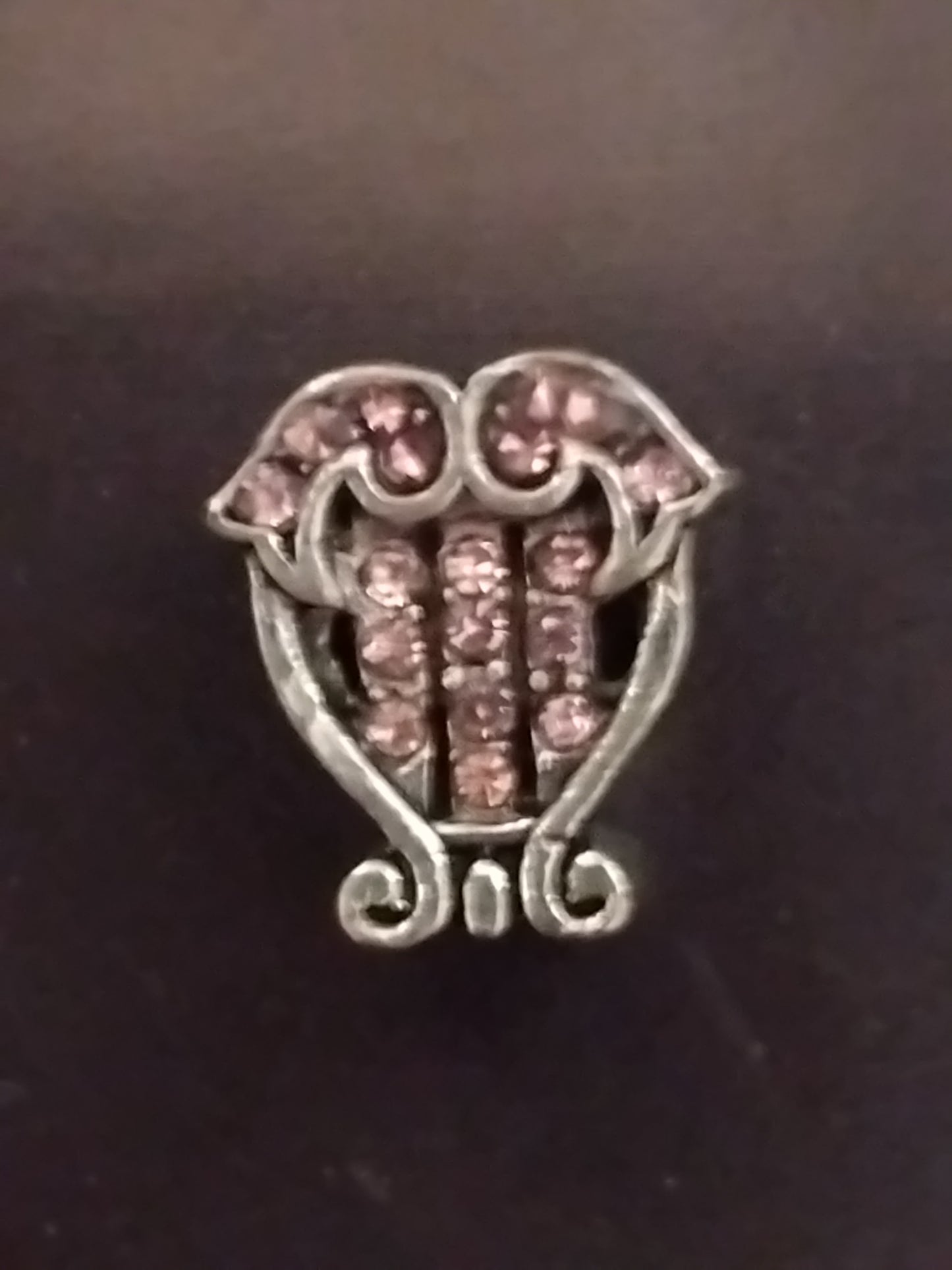 Beauty and the beast wardrobe charm