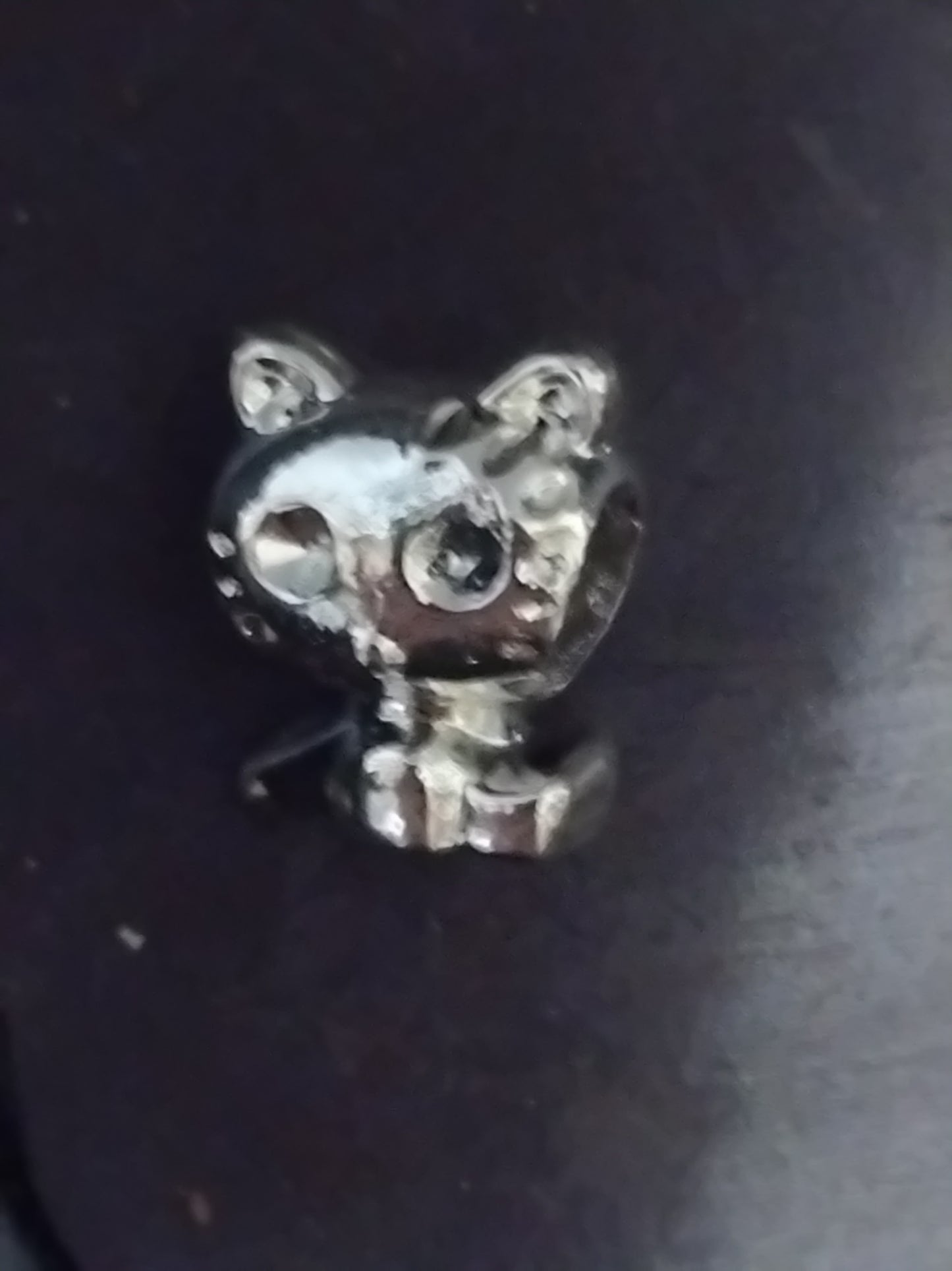 Cat charm