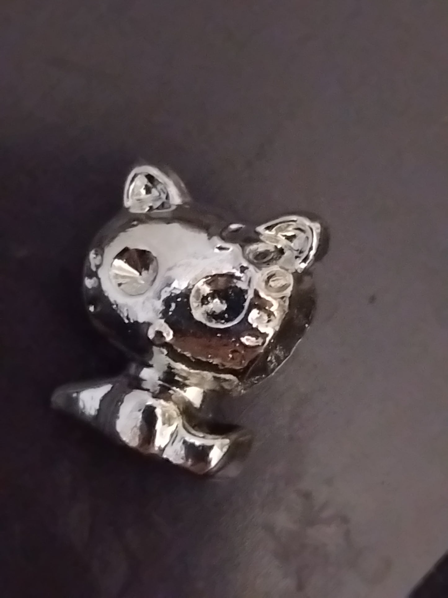 Cat charm