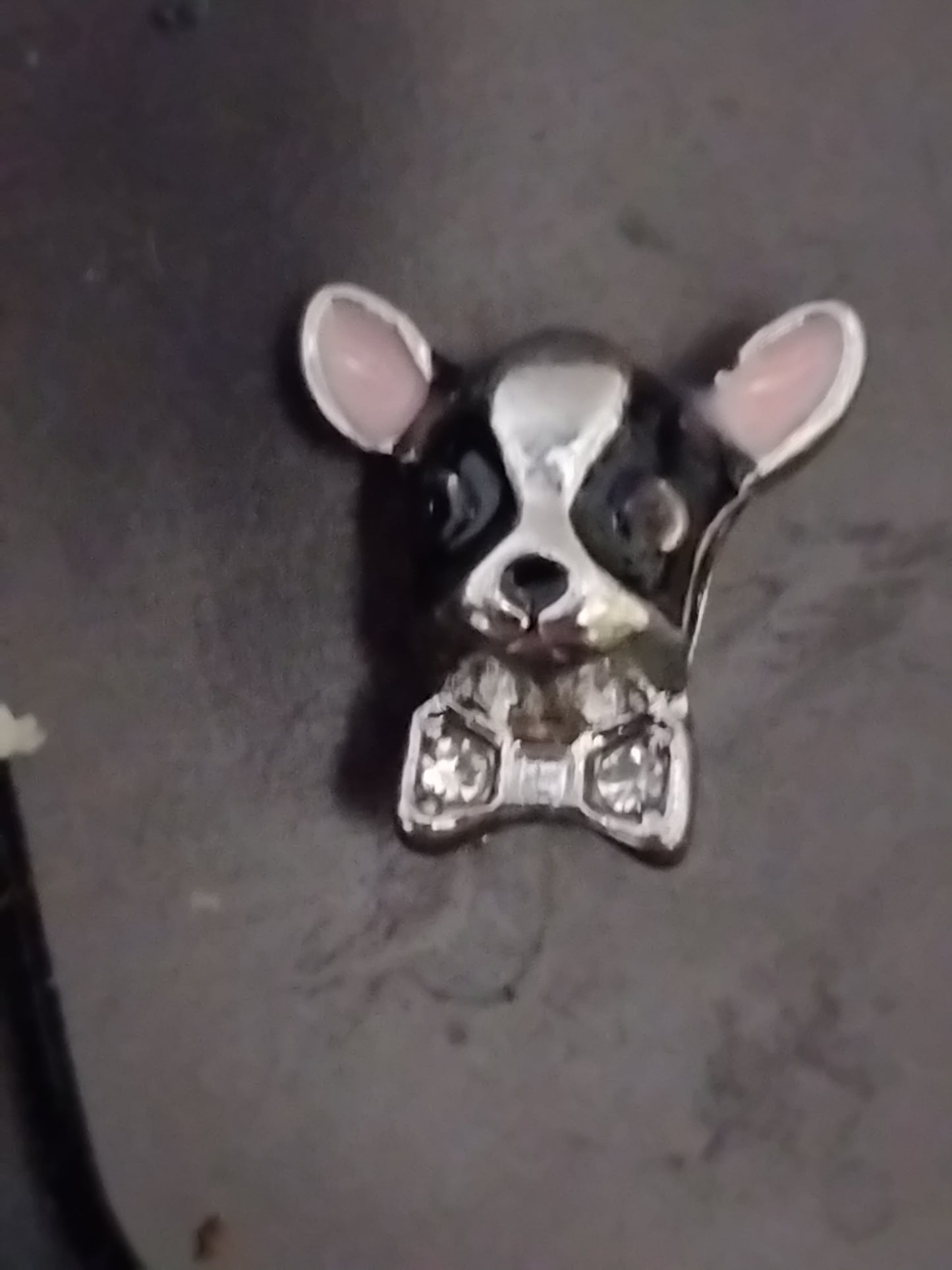 Dog charm