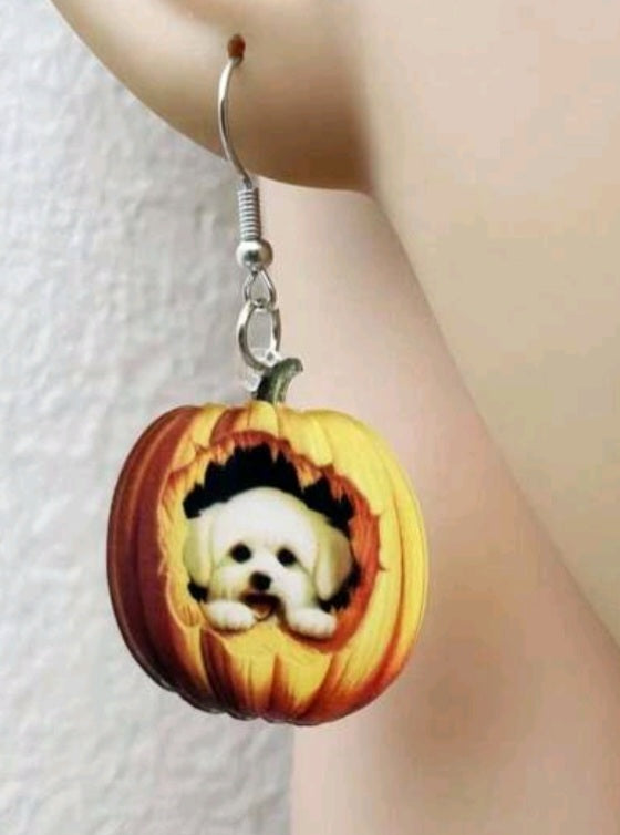 Pumkin pup