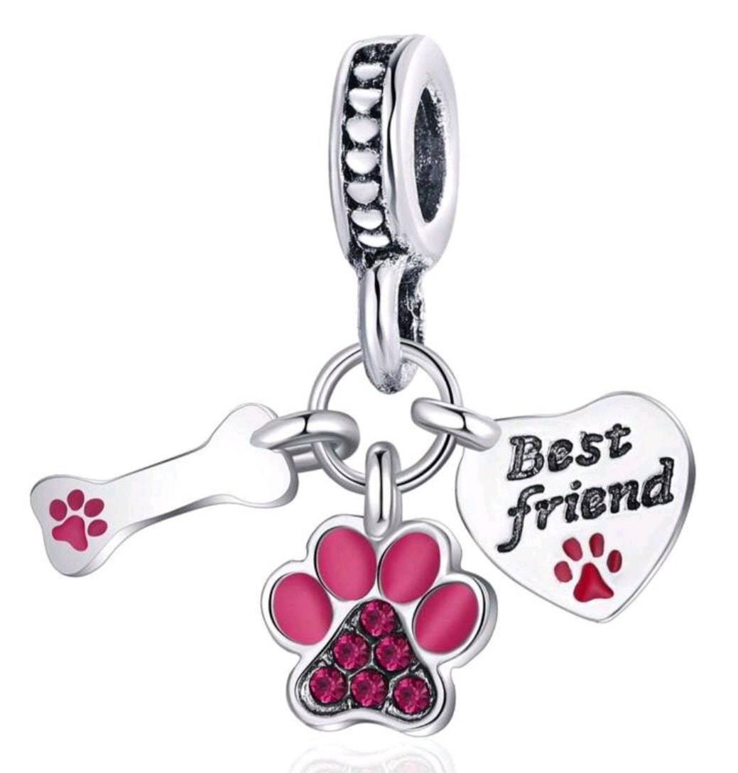 Paw friends charm